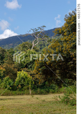 Masoala National Park, Madagascar 46637376