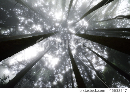 仰望 仰望 46638547