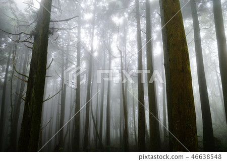 剪影 剪影 46638548