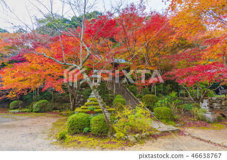 Kyoto Katsumochi-ji Temple Fudodo 46638767