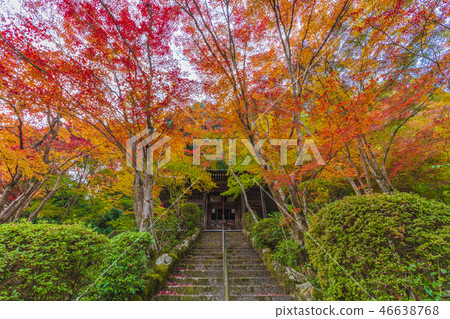 Kyoto Katsumochi-ji Temple Fudodo 46638768