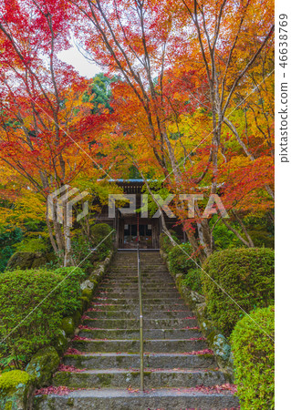 Kyoto Katsumochi-ji Temple Fudodo 46638769