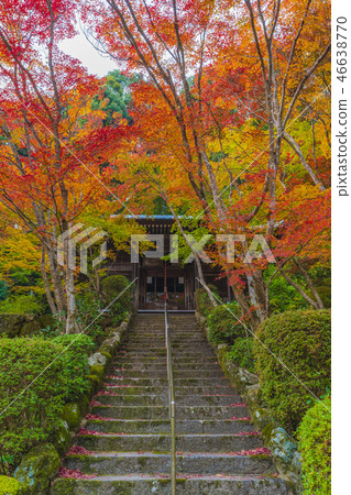 京都Katsumochi-ji寺Fudodo 46638770