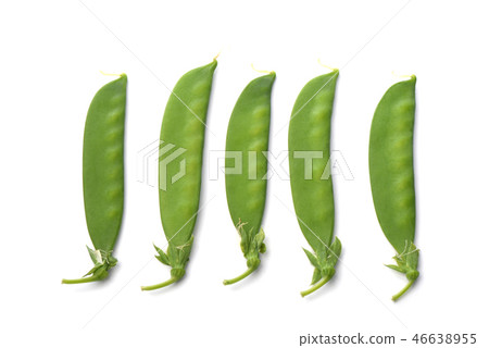 豌豆 豌豆 46638955