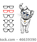 Cat with glasses. Painted stylized image of a cat 46639390