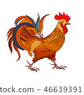 Rooster. Silhouette on a white background 46639391