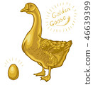 Golden Goose, goose on a white background 46639399
