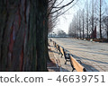 公園 46639751