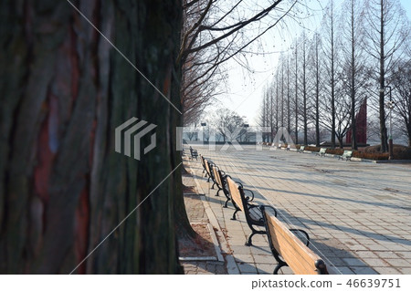 公園 公園 46639751