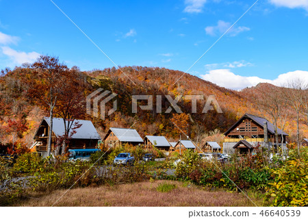 Mountain foliage　 46640539