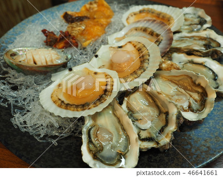 魚 魚 46641661