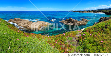 Atlantic blossoming coastline (Spain). Atlantic blossoming coastline (Spain). 46642323