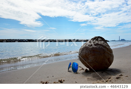 The Sun Glasses and Coconut on the Sea beach 46643129