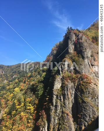 山1 山1 46643145
