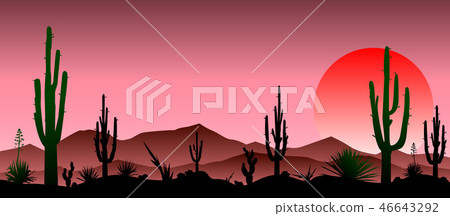 Red stony desert, cacti, sunset 46643292