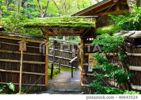 Shionji Temple (Kyoto) Shionji Temple (Kyoto) 46643524