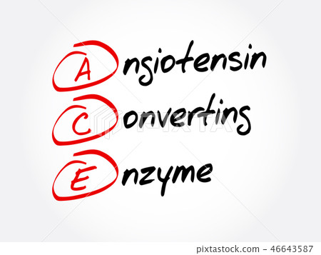 ACE - Angiotensin Converting Enzyme acronym 46643587