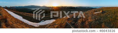 Early morning spring Carpathian mountains 46643816