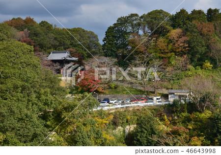 Shigiyama Shigiyama 46643998