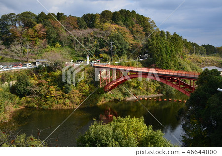Shigiyama Shigiyama 46644000