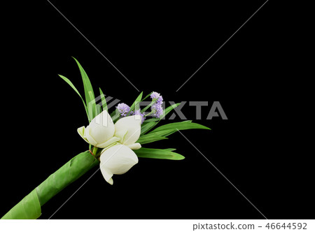 White lotus flower bouquet and pandan leaves White lotus flower bouquet and pandan leaves 46644592