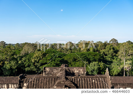 [Amazing view] [World Heritage] View from the top of Angkor Wat Central Shrine 46644603