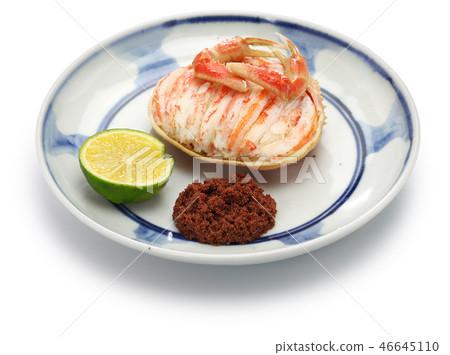 Secogani的貝類 46645110