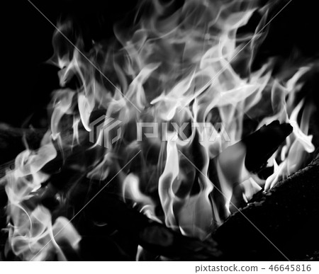 Black and white campfire in forest at evening Black and white campfire in forest at evening 46645816