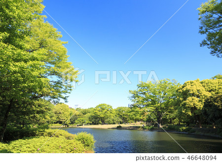 Kitanomaru Park Kitanomaru Park 46648094