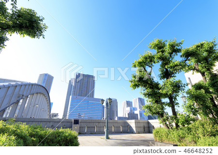 隅田川 46648252
