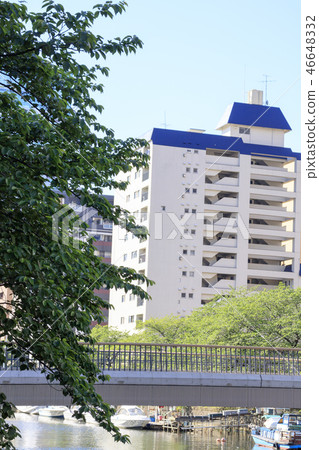 隅田川 隅田川 46648332