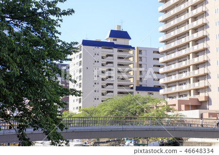 隅田川 隅田川 46648334