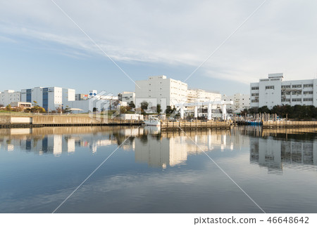 大森家鄉海灘公園 46648642