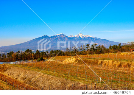 “Yatsugatake Heiji村附近的冬天”山梨縣北斗市Akeno鎮 46649764