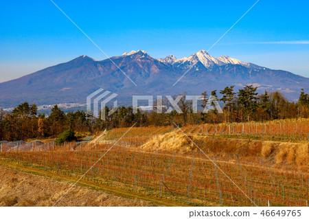 “Yatsugatake Heiji村附近的冬天”山梨縣北斗市Akeno鎮 46649765
