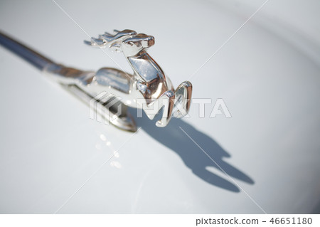 Retro Car Festival in Kamyanets-Podilsky, Ukraine Retro Car Festival in Kamyanets-Podilsky, Ukraine 46651180