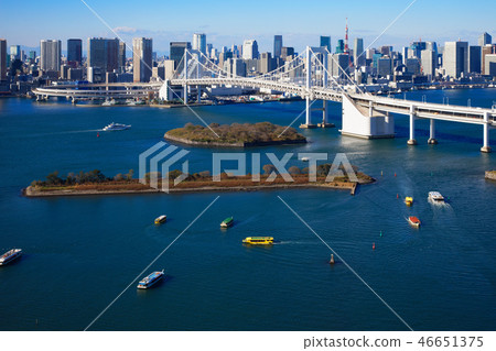 台場海濱公園和彩虹橋東京塔 台場海濱公園和彩虹橋東京塔 46651375