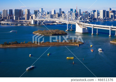 台場海濱公園和彩虹橋東京塔 台場海濱公園和彩虹橋東京塔 46651376