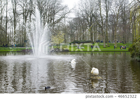 Keukenhof Park Keukenhof Park 46652322