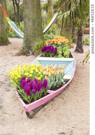Keukenhof Park Planting with boats Keukenhof Park Planting with boats 46652619