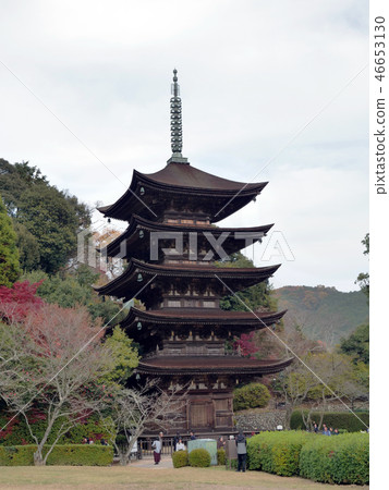 國寶Rurikoji寺五層寶塔 46653130