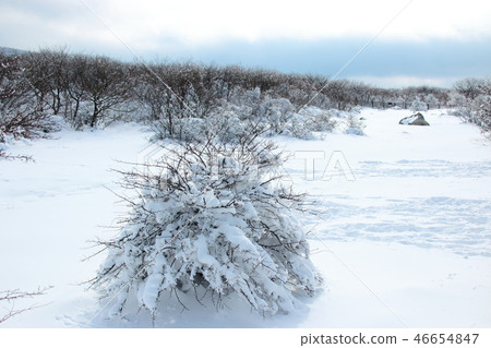 1100 Highland, wetland, snow, snow, snow, 1100 Highland, wetland, snow, snow, snow, 46654847