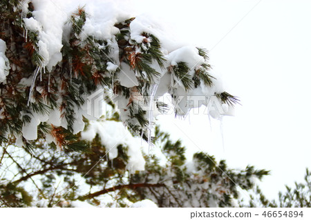 1100 Highland, wetland, snow, snow, snow, 46654894