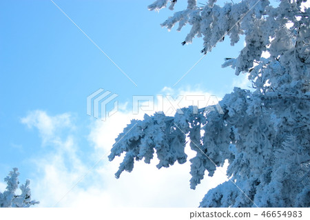 1100 Highland, wetland, snow, snow, snow, 1100 Highland, wetland, snow, snow, snow, 46654983