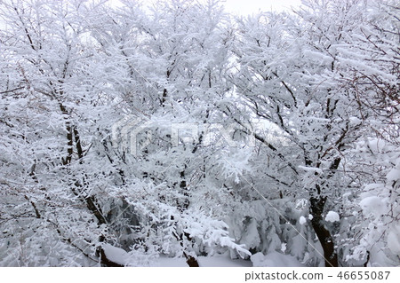 1100 Highland, wetland, snow, snow, snow, 1100 Highland, wetland, snow, snow, snow, 46655087