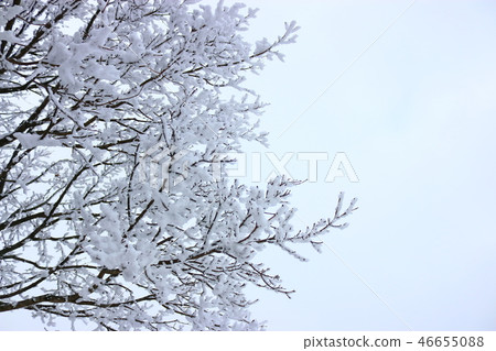 1100 Highland, wetland, snow, snow, snow, 46655088
