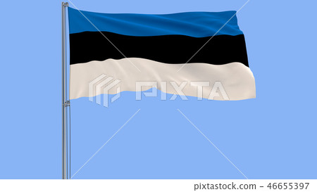 Isolate flag of Estonia on a flagpole fluttering Isolate flag of Estonia on a flagpole fluttering 46655397