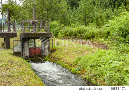 鎮金山發揮四季 鎮金山發揮四季 46655471