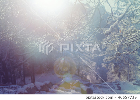 Winter season Winter season 46657739