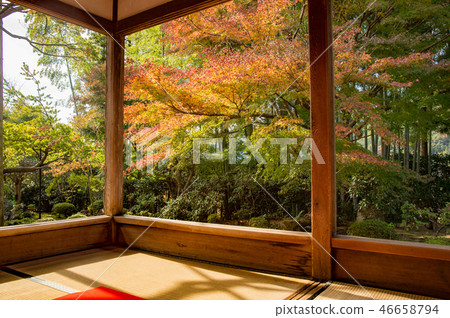 秋天的Hosenin 46658794